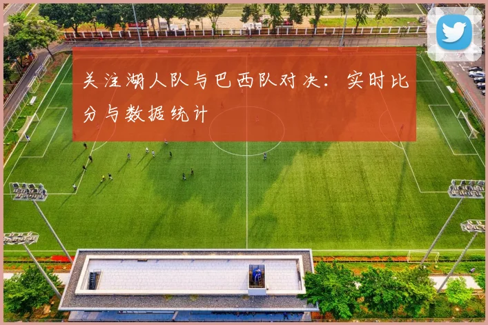关注湖人队与巴西队对决：实时比分与数据统计