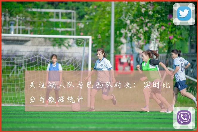 关注湖人队与巴西队对决：实时比分与数据统计